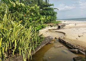Beautiful Gabon