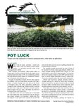 POT LUCK: Tecogen sees high opportunity in marijuana growing business, other indoor ag applications