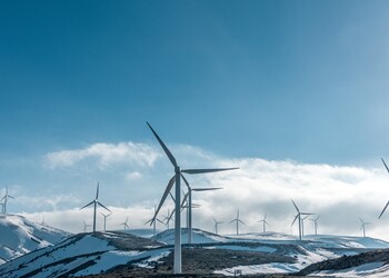 The Role of Public Finance in Sustainable Development and Environmental Initiatives