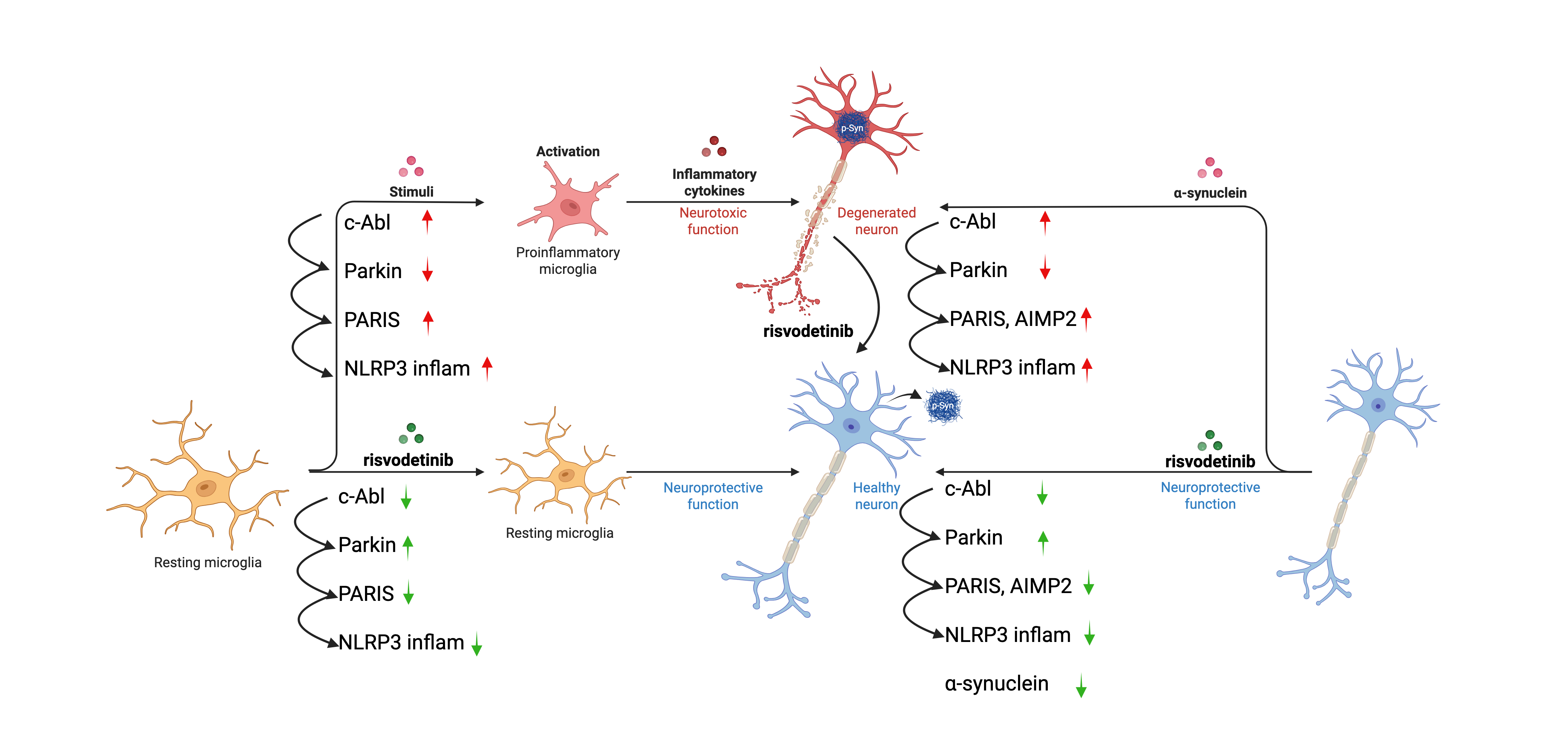 Dual_Pathway_Risvodetinib-master-v4.png