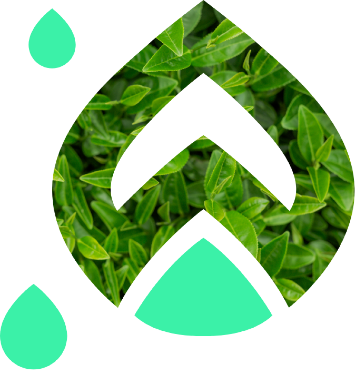 Company Overview