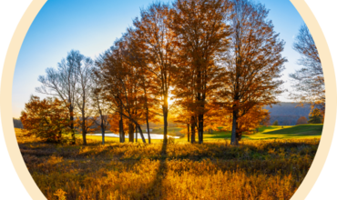 Partnering with Local Land Owners