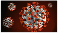 Westport Company May Hold Key To COVID Anti-Viral Drug