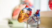 BioSig Technologies Achieves First Commercial Sale Of Its PURE EP System