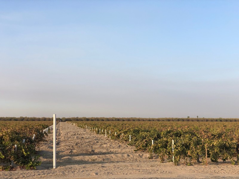 Farmland Portfolio Gladstone Land Corporation (LAND)