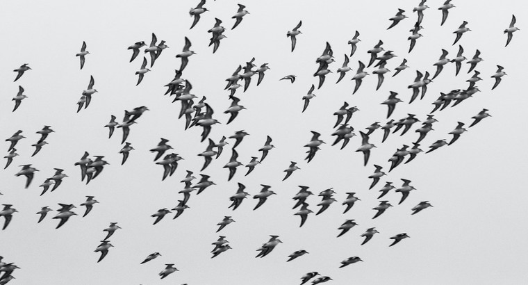 The Great Talent Migration of 2021