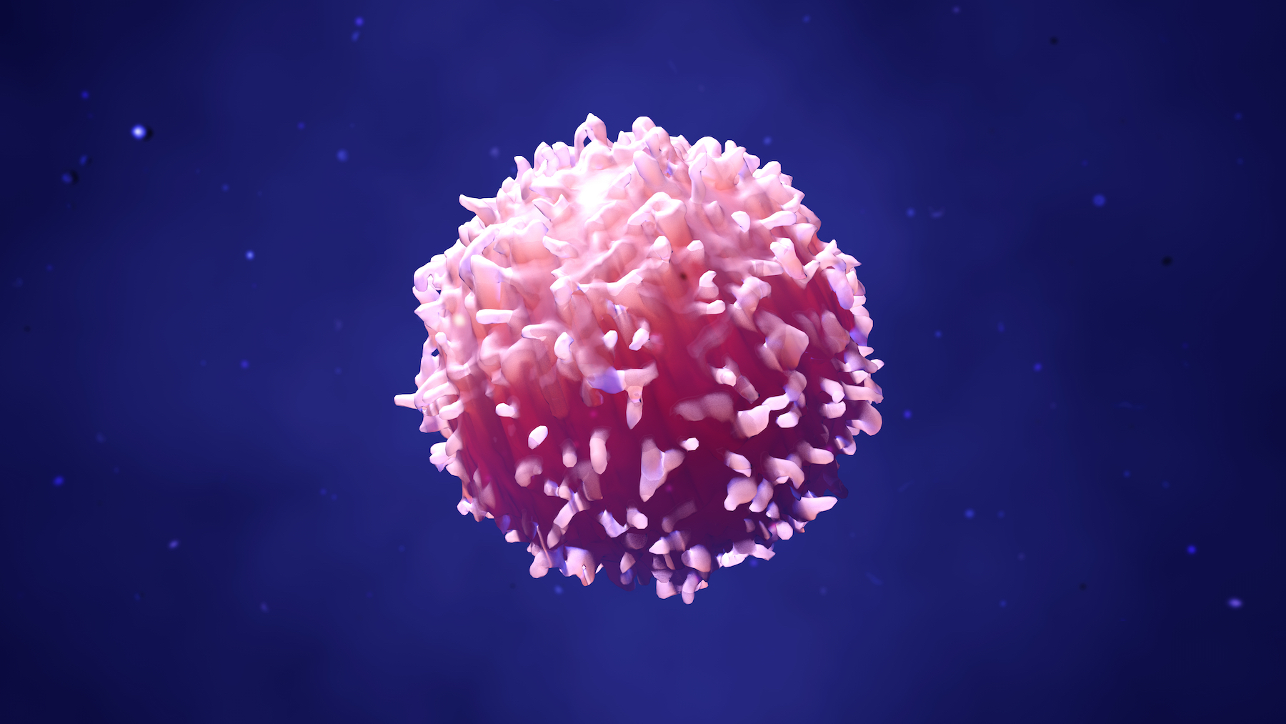 Composing Cell Therapy Approaches in Autoimmunity