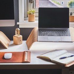 The Future of Remote Work