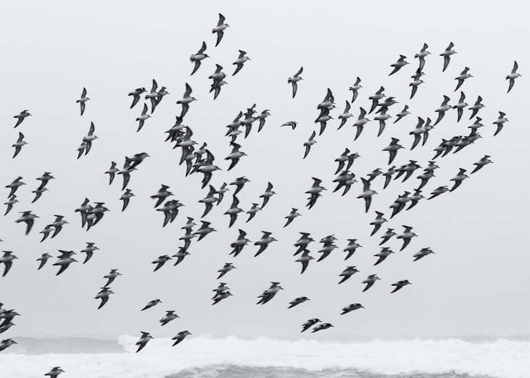 The Great Talent Migration of 2021