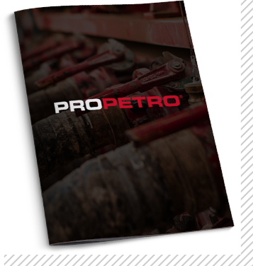 Latest Annual Filing