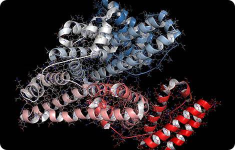 About Sonnet BioTherapeutics