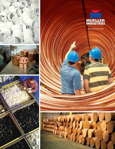 2011 Annual Report