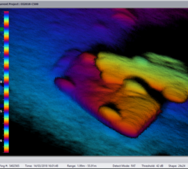 Salvage and Recovery