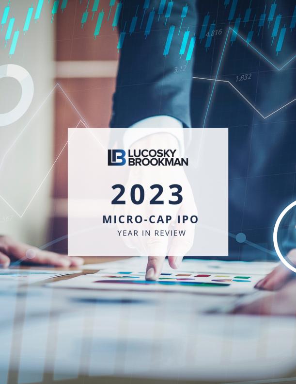 Micro-Cap IPO Year In