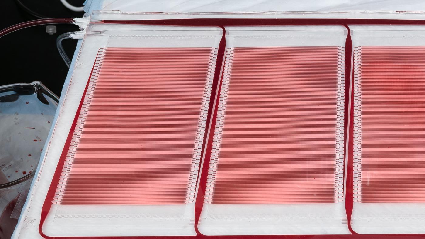 A piece of medical equipment with a network of blood channels to mimick the human body's functionality