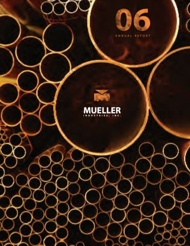 2006 Annual Report
