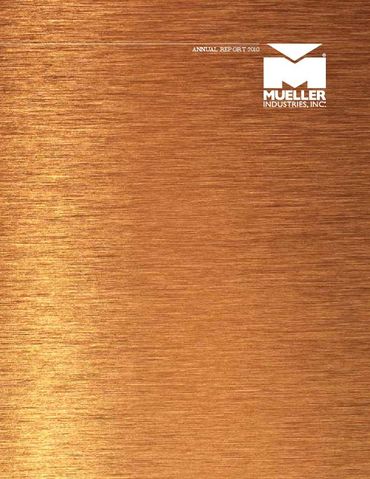 2010 Annual Report