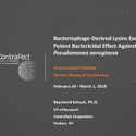 Bacteriophage-Derived Lysins Exert a Potent Bactericidal Effect Against <em>Pseudomonas aeruginosa</em>