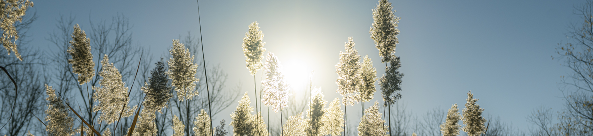 ISO 14001 Certifications