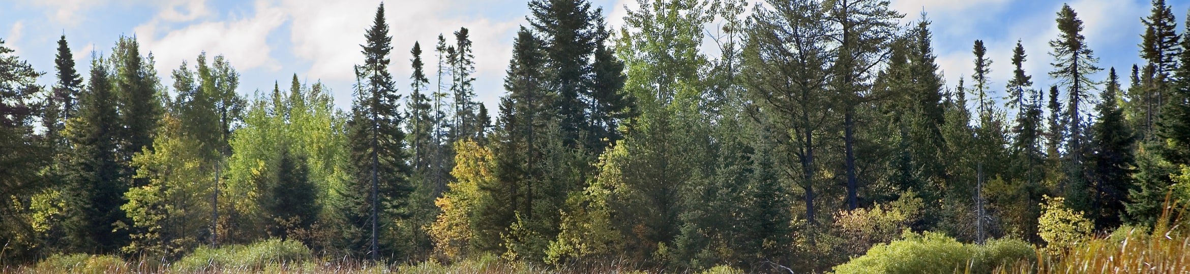 Sustainability Reports