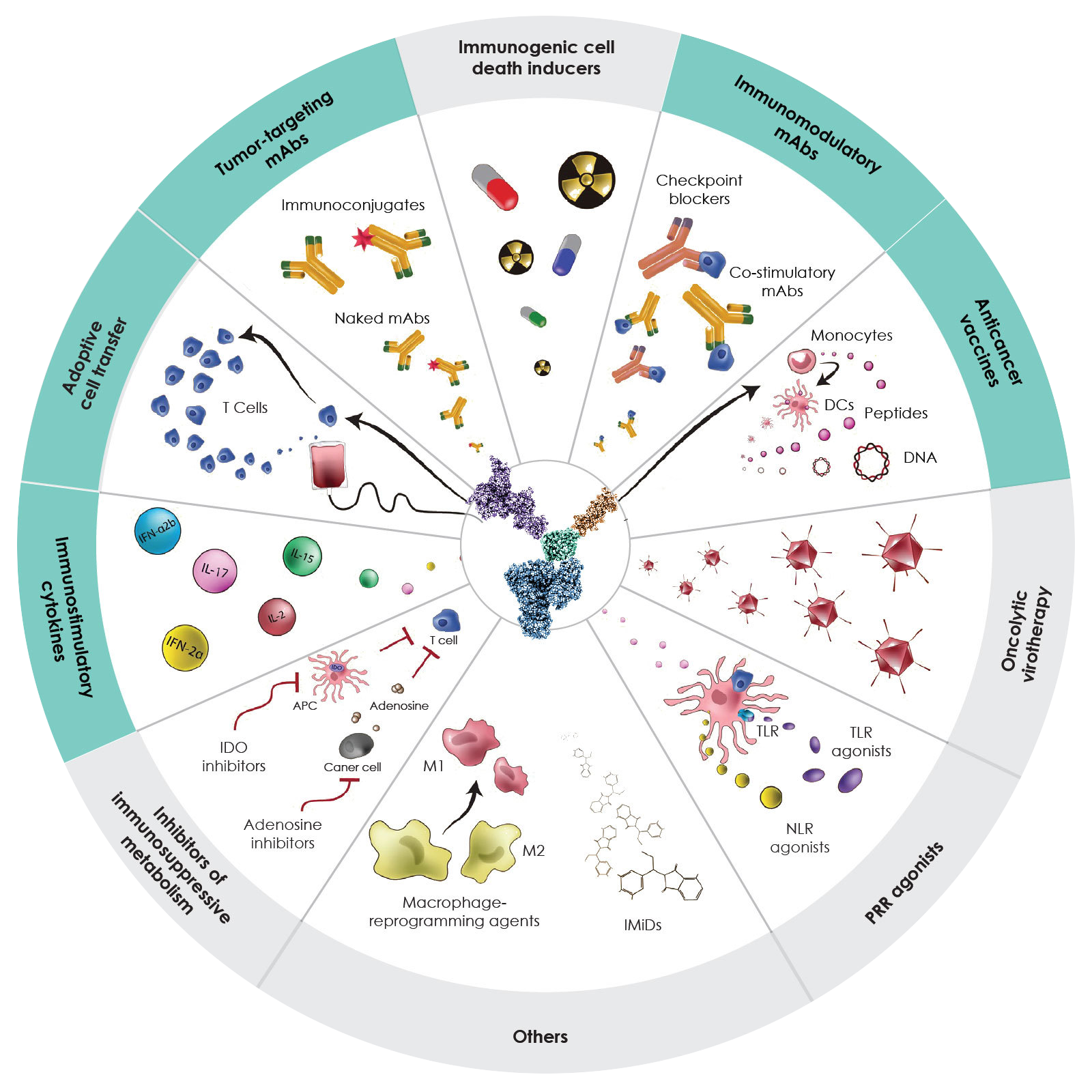 A Modular Drug Development Platform