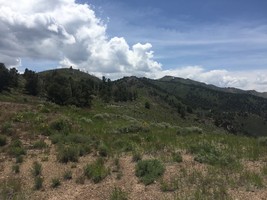 An image thumbnail for the following media post.