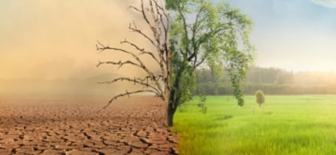 Navigating the Climate Crisis: The Role of Public Finance in Addressing Climate-Related Risk