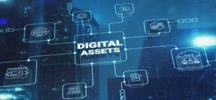 Embracing the Digital Wave: The Rise of Digital Assets and Its Impact on Public Finance
