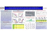 2017 AACR Hematologic Malignancies Conference - CG’806, a First‐in‐Class FLT3/BTK Inhibitor, Exerts Superior Potency Against AML Cells Harboring FLT3‐ITD, TKD, and Gatekeeper Mutant or Wild‐Type FLT3