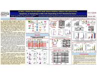 2017 ASH Poster - CG’806, a Novel Pan-FLT3/BTK Multi-Kinase Inhibitor, Induces Cell Cycle Arrest, Apoptosis or Autophagy in AML Cells Depending on FLT3 Mutational Status