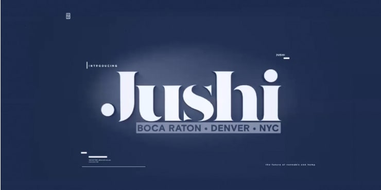 Erich Mauff, President, Board Director and Founder of Jushi Holdings Inc. Fireside Chat at the 2020 Cantor Fitzgerald Virtual MSO Cannabis Summit