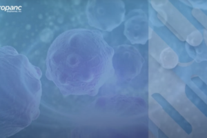 Compassion in Action