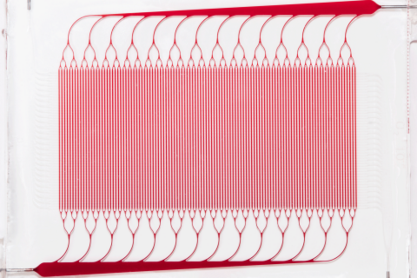 Microfluidic blood oxygenator research by Draper