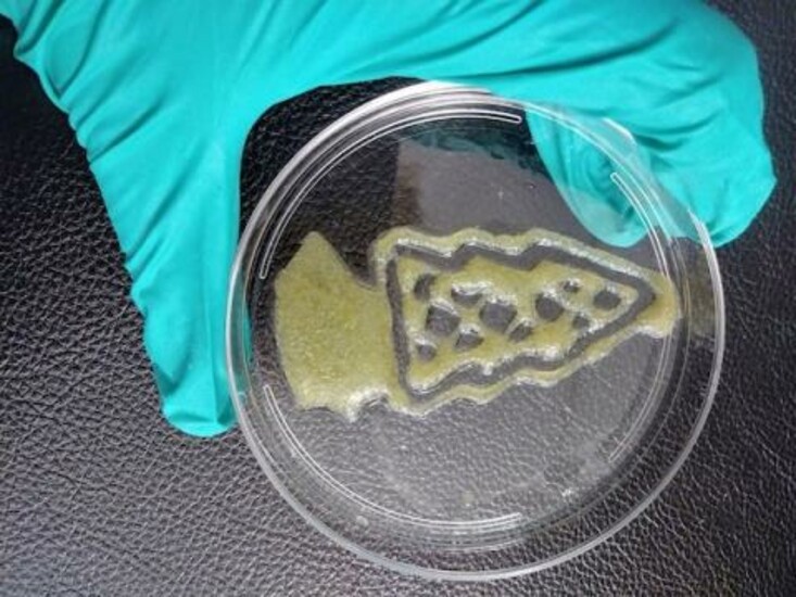A gloved hand holds a petri dish with a 3D-printed pizza slice.
