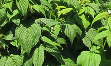 For farmers who are selling their land: