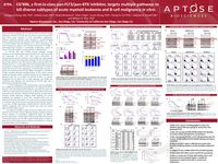 2018 AACR Poster - CG’806, a first-in-class pan-FLT3/pan-BTK inhibitor, targets multiple pathways to kill diverse subtypes of acute myeloid leukemia and B-cell malignancy in vitro