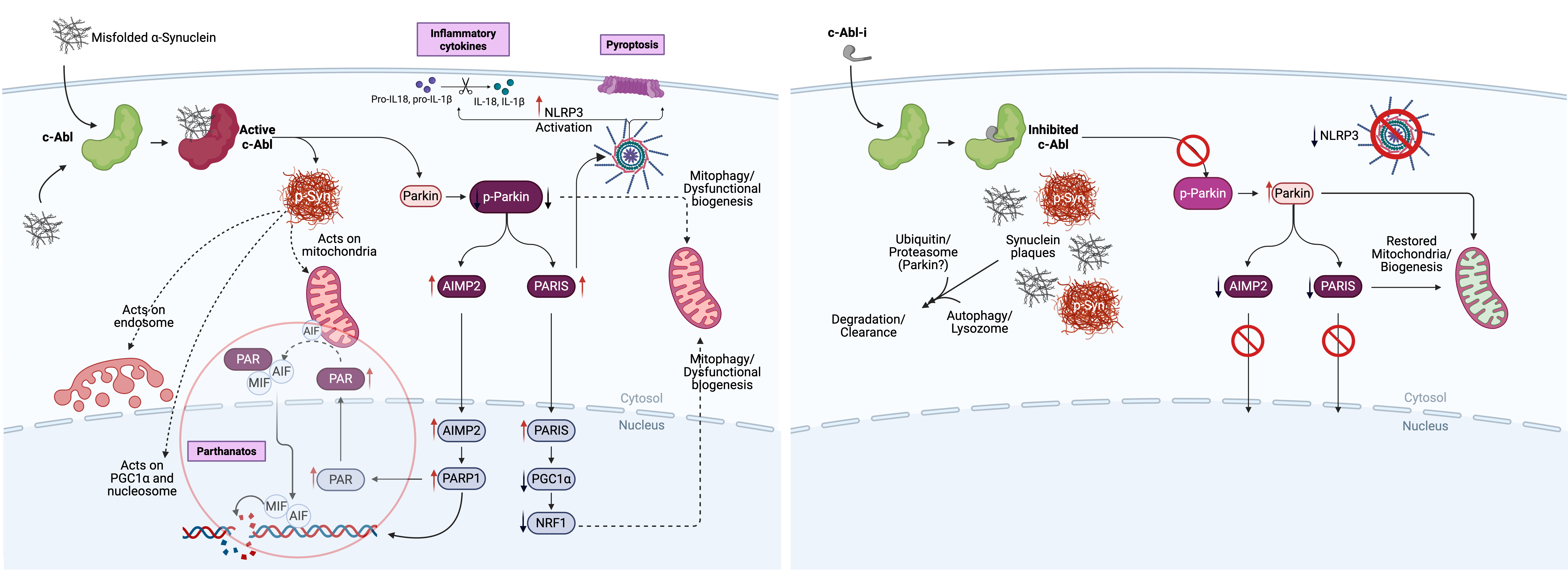 PD_Mechanism_and_treatment_effect-v3.png