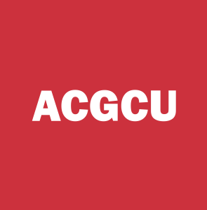 ACP HOLDINGS ACQUISITION CORP