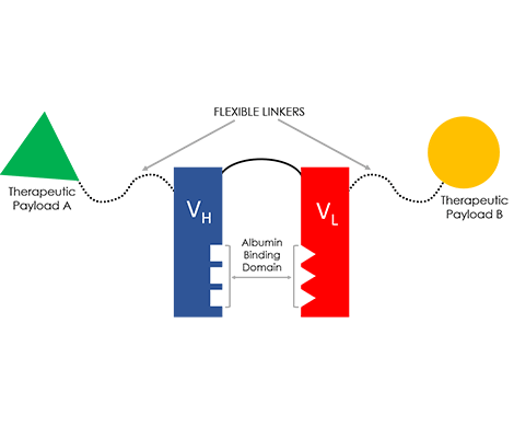 Technology Platform