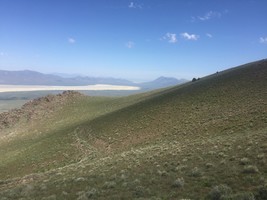 An image thumbnail for the following media post.