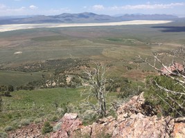 An image thumbnail for the following media post.