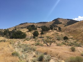 An image thumbnail for the following media post.