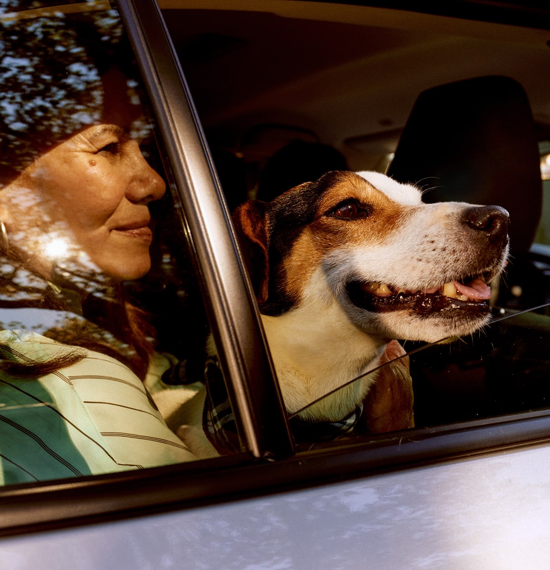 Latest Financial Results