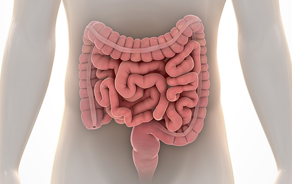 Synthetic Biologics, Inc