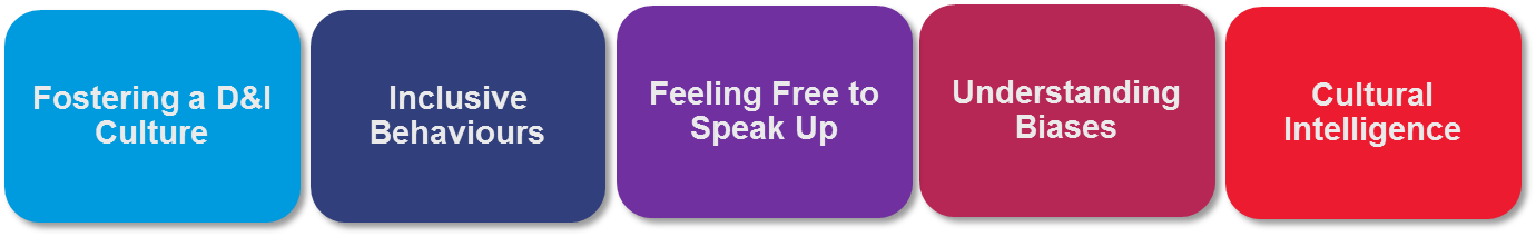 Image showing 5 key points: Fostering a D&I Culture, Inclusive Behaviours, Feeling free to speak up, Understanding Blases and Cultural Intelligence