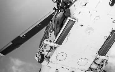 Photo of an Suriname