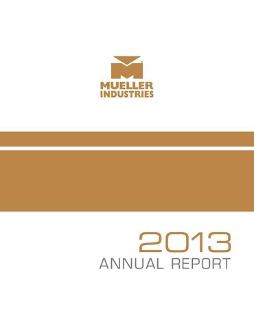 2013 Annual Report