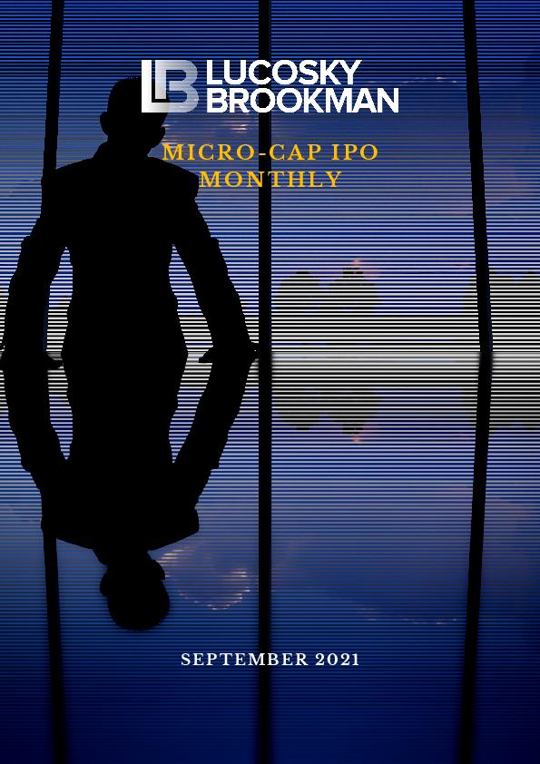 Micro-Cap IPO Monthly