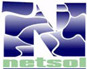NetSol Technologies, Inc.