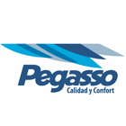 Queretaro Pegasso
